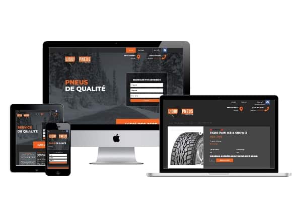 Portfolio liquipneus